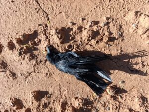 Imagen de WhatsApp 2025 08 29 a las 18.38.17 dc24e41c