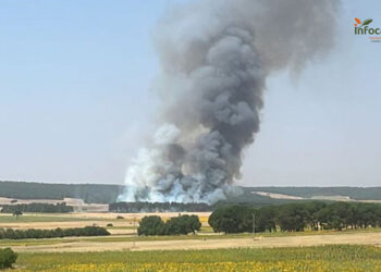 Incendio en Almodóvar del Pinar