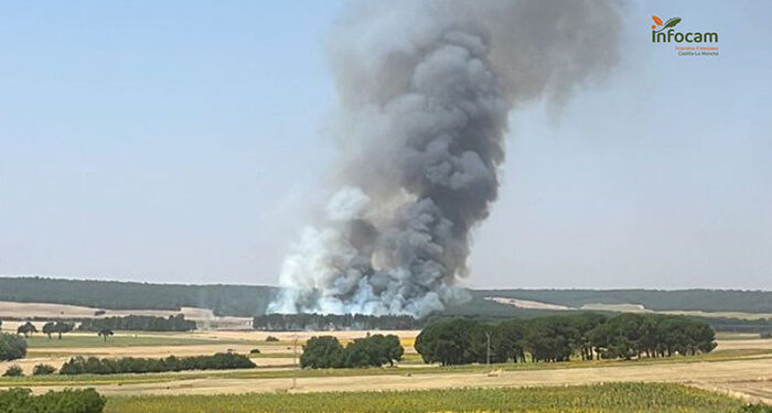 El Gobierno inicia hoy el pago de más de 972.000 euros en ayudas directas a agricultores y ganaderos de Castilla-La Mancha afectados por los grandes incendios forestales 1 Incendio en Almodóvar del Pinar