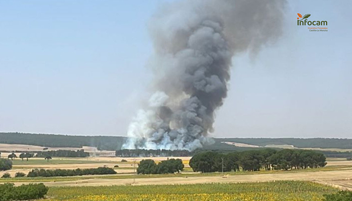 El Gobierno inicia hoy el pago de más de 972.000 euros en ayudas directas a agricultores y ganaderos de Castilla-La Mancha afectados por los grandes incendios forestales 2 Incendio en Almodóvar del Pinar