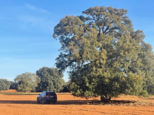 Los que no importan 2 LOS QUE NO IMPORTAN_ImagenDehesaAlberto