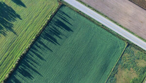 La Junta adquiere más de 24.700 documentos fotográficos de Castilla-La Mancha 2 La Junta adquiere más de 24.700 documentos fotográficos de Castilla-La Mancha