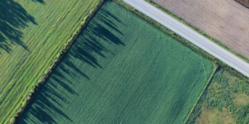La Junta adquiere más de 24.700 documentos fotográficos de Castilla-La Mancha