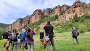 La Junta invita a disfrutar del verano en los espacios naturales de Guadalajara con actividades gratuitas para todos los públicos 2 La Junta invita a disfrutar del verano en los espacios naturales de Guadalajara con actividades gratuitas para todos los públicos