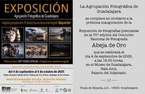 La exposición del 70º Concurso Abeja de Oro llega al Museo Provincial de Guadalajara