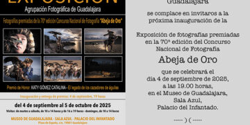 La exposición del 70º Concurso Abeja de Oro llega al Museo Provincial de Guadalajara