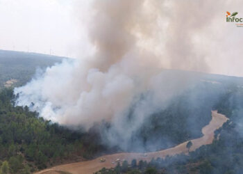 Más de 60 efectivos luchan contra el fuego en un incendio en Enguídanos