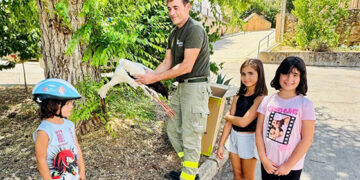 Rescatan una cigüeña herida por una colisión en Torrecilla