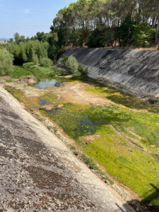 Sacedón acusa a la Confederación Hidrográfica del Tajo de abandonar el canal del trasvase Entrepeñas-Buendía 2 Sacedón acusa a la Confederación Hidrográfica del Tajo de abandonar el canal del trasvase Entrepeñas-Buendía