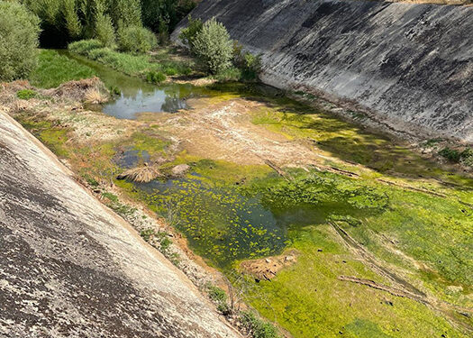 Sacedón acusa a la Confederación Hidrográfica del Tajo de abandonar el canal del trasvase Entrepeñas-Buendía 1 Sacedón acusa a la Confederación Hidrográfica del Tajo de abandonar el canal del trasvase Entrepeñas-Buendía
