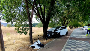 Un conductor resulta herido tras chocar contra un árbol en la Avenida de las Fuerzas Armadas de Cuenca 2 Un conductor resulta herido tras chocar contra un árbol en la Avenida de las Fuerzas Armadas de Cuenca