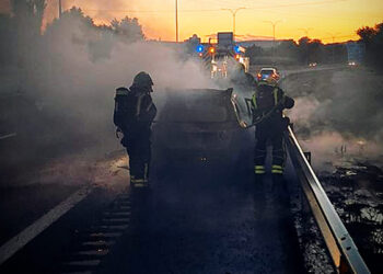 Un turismo arde por completo en la A-2 y el fuego se propaga a la cuneta