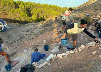 Viaje a los orígenes de los mamíferos modernos nueva campaña de excavación en Cerro Arenoso y Valquemado en Carrascosa y Valquemado