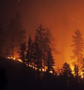 istockphoto 157384116 1024x1024 1