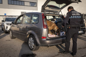 Convocada la primera prueba del proceso para cubrir 10 plazas de Policía Local en Azuqueca 2 policia local unidad canina