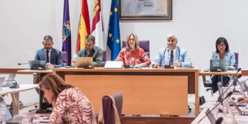 Asuntos económicos y colaboración con la Fundación NIPACE para mejorar la calidad de vida de los niños con parálisis cerebral centran el Pleno de Guadalajara
