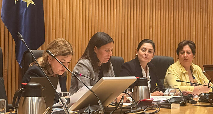 Bea Jiménez, elegida Vicepresidenta Segunda de la Comisión del Pacto de Estado contra la Violencia de Género, exige responsabilidades por los fallos del sistema COMETA 1 Bea Jiménez, elegida Vicepresidenta Segunda de la Comisión del Pacto de Estado contra la Violencia de Género, exige responsabilidades por los fallos del sistema COMETA