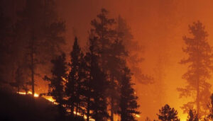 CEOE-Cepyme Cuenca defiende la existencia de ayudas a las empresas afectadas por catástrofes