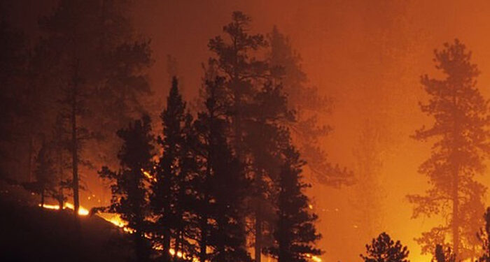 CEOE-Cepyme Cuenca defiende la existencia de ayudas a las empresas afectadas por catástrofes