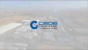 CEOE-Cepyme Guadalajara muestra su preocupación ante la saturación eléctrica que está frenando el desarrollo empresarial en la provincia 2 CEOE-Cepyme Guadalajara muestra su preocupación ante la saturación eléctrica que está frenando el desarrollo empresarial en la provincia