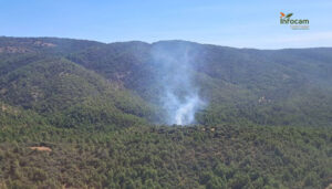 Controlado un incendio forestal en Bascuñana de San Pedro