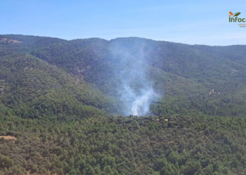 Controlado un incendio forestal en Bascuñana de San Pedro