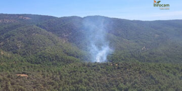 Controlado un incendio forestal en Bascuñana de San Pedro