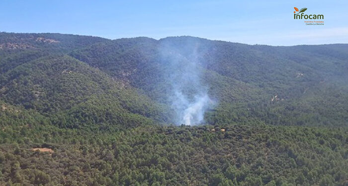 Controlado un incendio forestal en Bascuñana de San Pedro