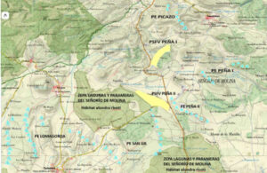 Ecologistas en Acción asegura que los planes de vigilancia de los parques eólicos de Guadalajara no detectan la mortandad real de la fauna