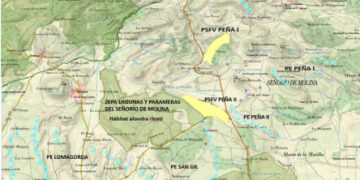 Ecologistas en Acción asegura que los planes de vigilancia de los parques eólicos de Guadalajara no detectan la mortandad real de la fauna