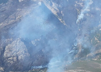 Ecologistas en Acción exige que se asuman responsabilidades por el desastroso incendio del Pico del Lobo