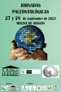 El Museo Comarcal de Molina organiza las Jornadas de Paleontología de este año 2 El Museo Comarcal de Molina organiza las Jornadas de Paleontología de este año