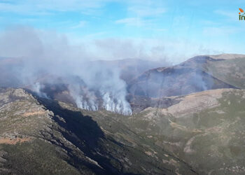 El incendio del Pico del Lobo arrasa ya 690 hectáreas en la Sierra Norte de Guadalajara