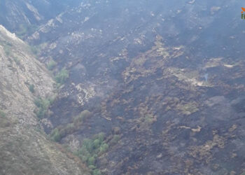 El incendio en el Pico del Lobo baja a Nivel 0