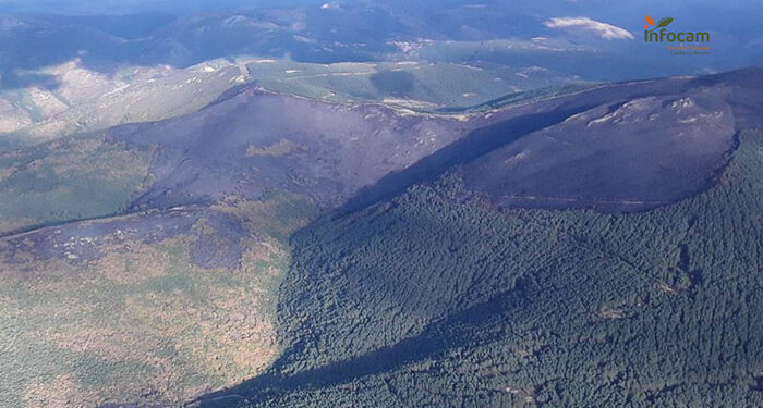 Extinguido el incendio del Pico del Lobo en Guadalajara tras 22 días de lucha contra las llamas 1 El incendio en el Pico del Lobo baja a nivel 1 y se desmoviliza a la UME