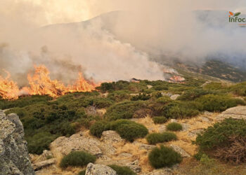 El incendio en el Pico del Lobo ha arrasado ya 400 hectáreas y sigue sin control