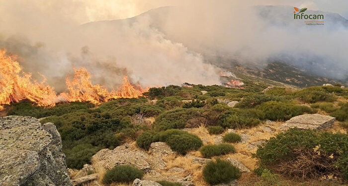 El incendio en el Pico del Lobo ha arrasado ya 400 hectáreas y sigue sin control