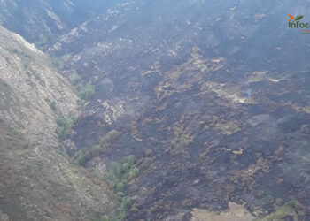 El incendio forestal del Pico del Lobo evoluciona de forma favorable y se trabaja para su estabilización