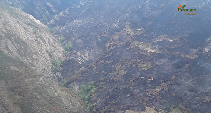 El incendio forestal del Pico del Lobo evoluciona de forma favorable y se trabaja para su estabilización 1 El incendio forestal del Pico del Lobo evoluciona de forma favorable y se trabaja para su estabilización