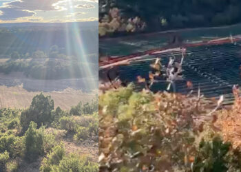 El momento del paisaje es aquí y ahora