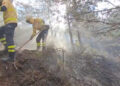 Estabilizado el incendio del Pico del Lobo comienza la desescalada hacia la normalidad