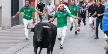 Excelente labor de los pastores en un segundo largo encierro en Guadalajara marcado por la eficacia de las puertas anti-retorno