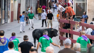 Excelente labor de los pastores en un segundo largo encierro en Guadalajara marcado por la eficacia de las puertas anti-retorno