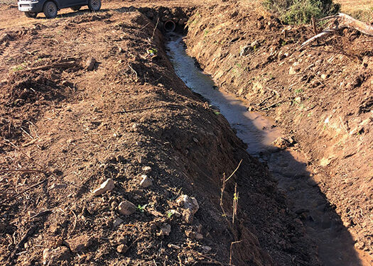 Fuentenovilla recupera 70 hectáreas de cultivo con la limpieza de cauces
