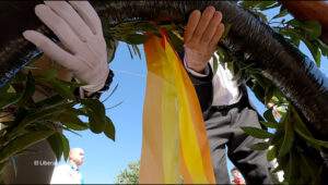 GOPR5716 DRON LA HOZ BETETA.00 00 55 14.Imagen fija006