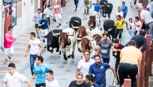 Guadalajara cierra sus encierros con un nuevo recorrido aplaudido por corredores y sin apenas incidencias