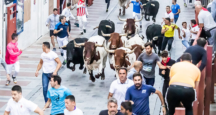 Guadalajara cierra sus encierros con un nuevo recorrido aplaudido por corredores y sin apenas incidencias