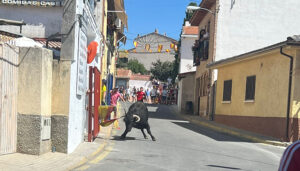 Herido un hombre de 46 años por asta de toro durante el encierro en El Casar 2 Herido un hombre de 46 años por asta de toro durante el encierro en El Casar