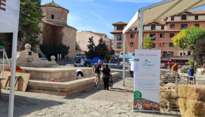 III Feria Ganadera de San Miguel en Molina de Aragón: tradición, innovación y futuro para la ganadería extensiva 2 III Feria Ganadera de San Miguel en Molina de Aragón tradición, innovación y futuro para la ganadería extensiva