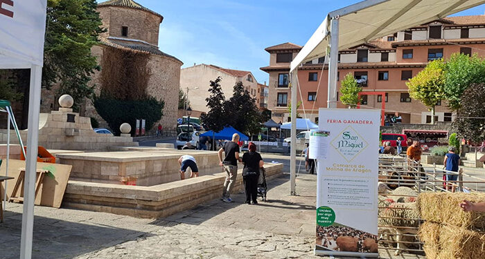 III Feria Ganadera de San Miguel en Molina de Aragón: tradición, innovación y futuro para la ganadería extensiva 1 III Feria Ganadera de San Miguel en Molina de Aragón tradición, innovación y futuro para la ganadería extensiva